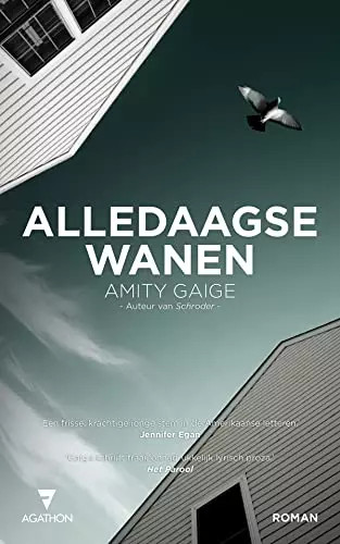 Alledaagse wanen roman - alledaagse, amity