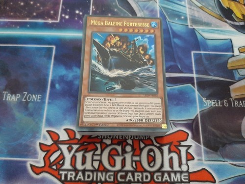 Deck umi mako - yu-gi-oh!,