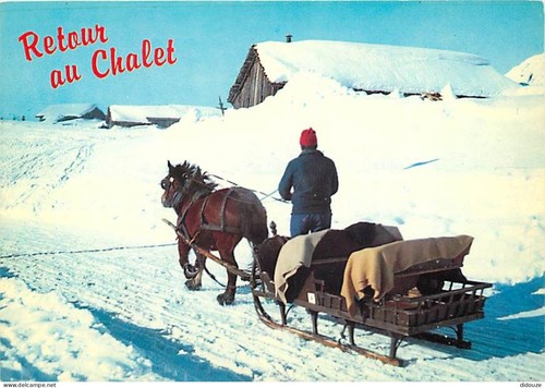 Carte postale animaux - -,