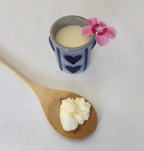 Kéfir lait artisanal - lait,