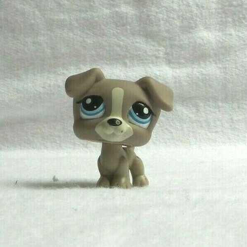 Littlest petshop pet shop - littlest,