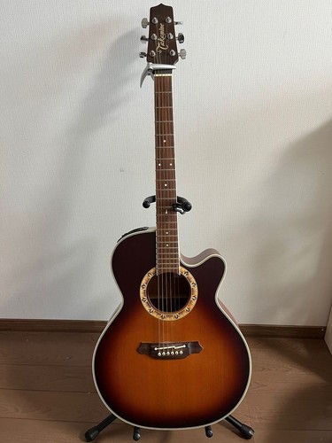 Guitare acoustique électrique