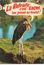 Postcard postcard 10x15cm BIRD BIRD HUMOROUS ANIMALS sacred retreat