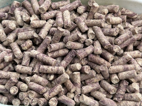 10kg pellets carpe - pellets, mûres