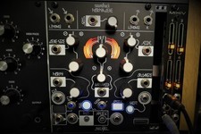 Make noise Morphagene Sample