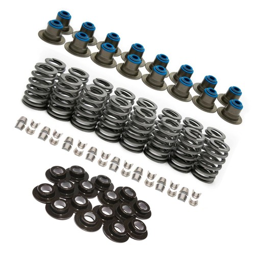 Valve spring kit suitable - valve,