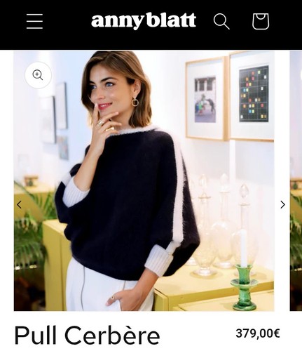 Superbe pull anny