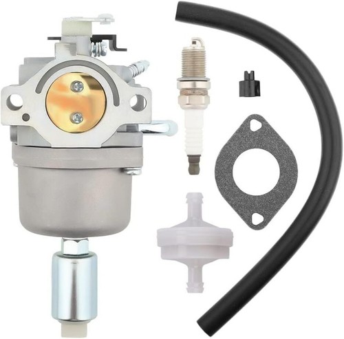 Carburateur pour briggs - carburateur,
