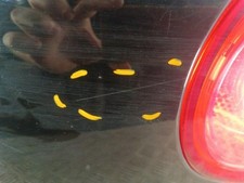 Malle/Hayon arriere VOLKSWAGEN