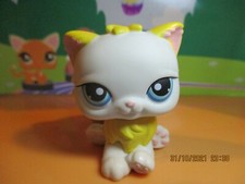 Petshop Chat Persan #207 Avec