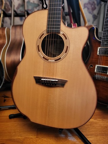 Washburn wcg25sce acoustic - washburn, wcg25sce-0