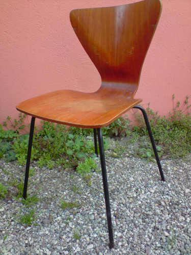 Chaise contreplaqué design - chaise,
