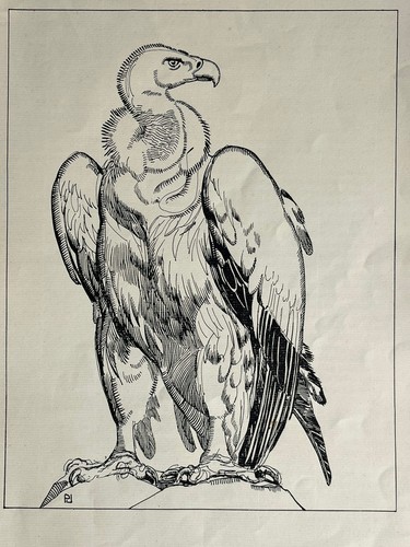 Gravure art deco - deco, vautour