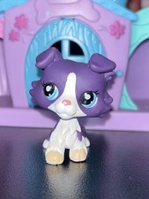 Petshop  Chien Colley   #1676