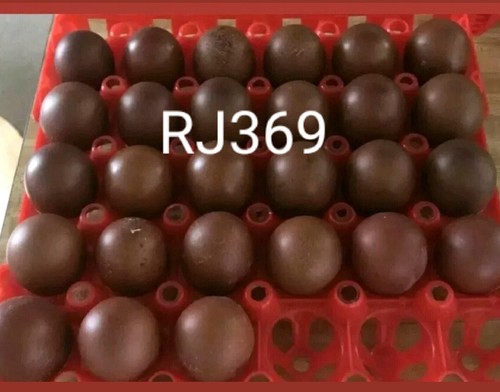 Pure french black - french, copper
