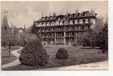 SWITZERLAND - canton of VAUD - LAUSANNE - deer wood