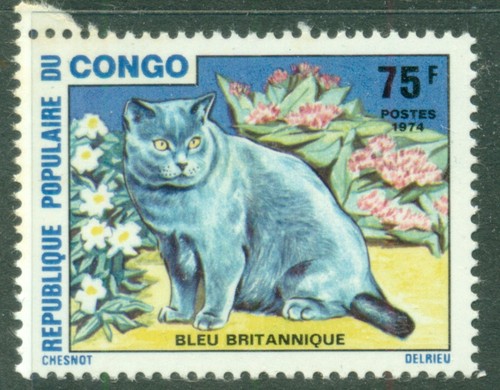 Congo 1974 cat british - ,