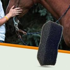 Éponge de toilettage