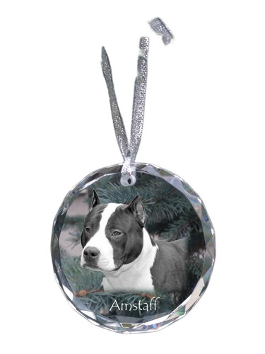American staffordshire terrier - staffordshire,