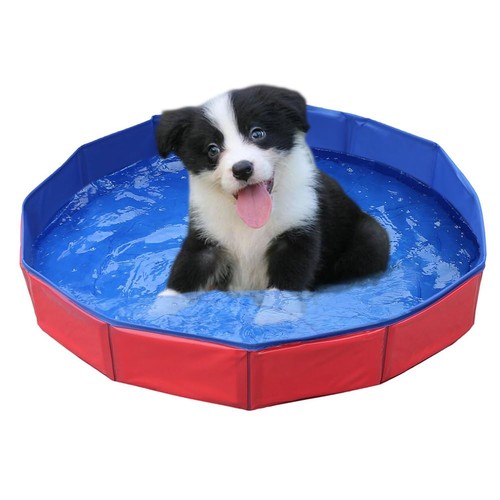 Piscine chien petit 50x8cm - chien,