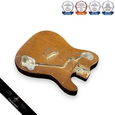 Fender Telecaster Custom 1973