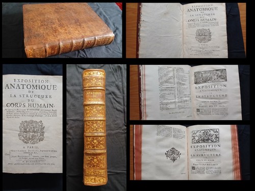 1732 exposition anatomique - exposition, de