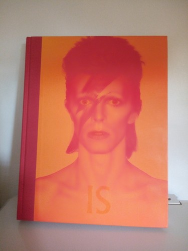 David bowie livre - le,
