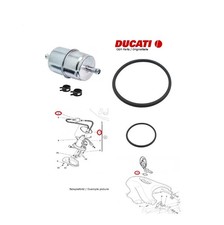 Ducati 749 999 Joint torique