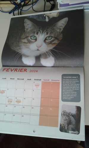 Calendrier spa août - spa, 2023