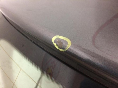 Malle hayon arriere seat leon - arriere,