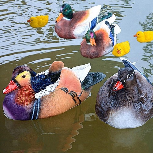 Paire statues canards - paire, de