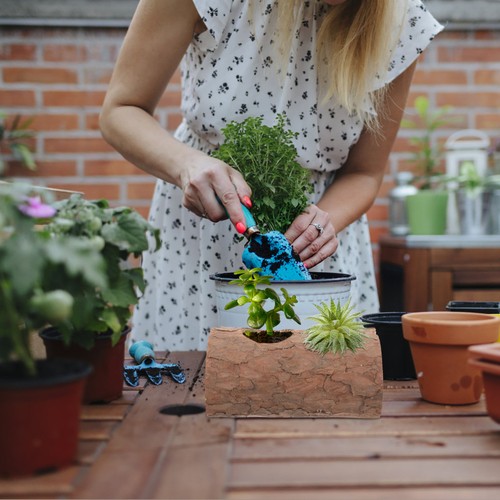 Déco maison planteuse - déco,