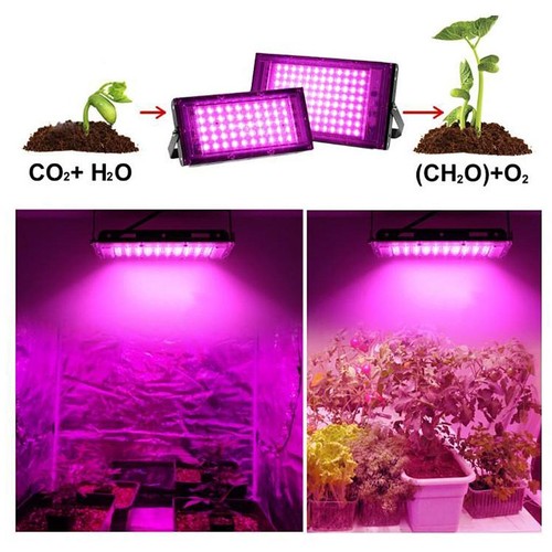 Led grow light - grow,