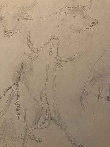 Dessin crayon noir vache - noir,