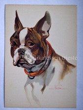 DOG dog French bulldog Bulldog dog old postcard Norfini