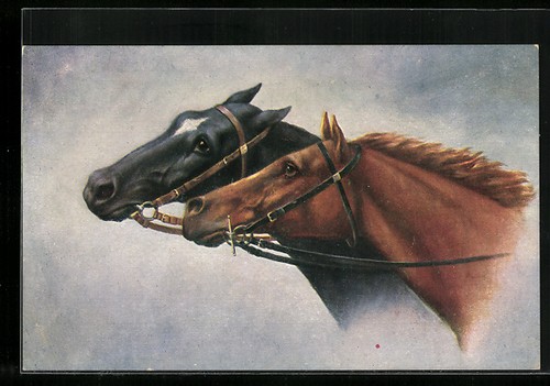 Carte postale deux chevaux