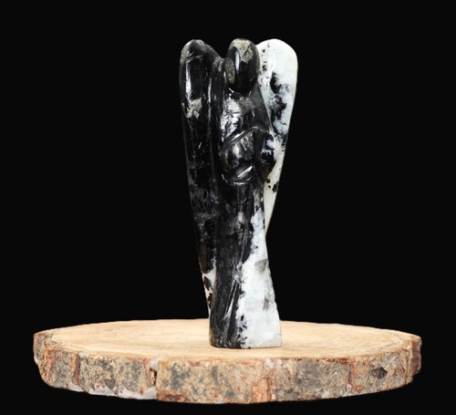 Ailes ange cristal - ailes, en