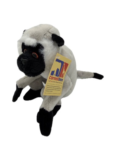 Primate green meerkat - , monkey