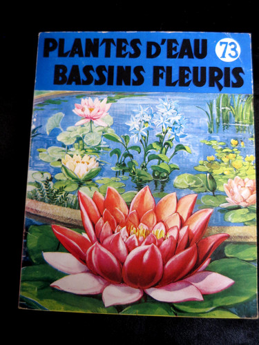 Jardin plantes eau bassins - jardin,