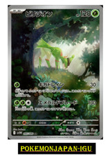 Carte Pokemon Japonaise