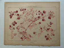 J.HABERT-DYS PLANCHE