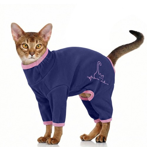 Manteau chat sphynx pull - manteau, sphynx,