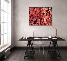 Paintings / Photographs Mineral Theme Red Coral Unique Work