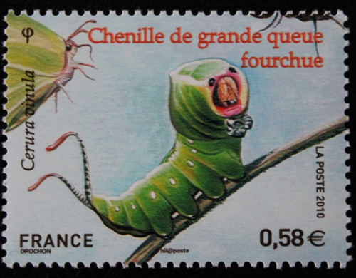 Timbre france chenille - -,