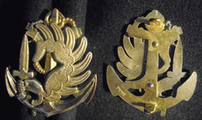 INSIGNE MILITAIRE DE BÉRET