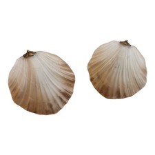 Paire d'appliques coquillages, verre et laiton, France 1960 Luminaire Art Déco