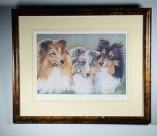 Shetland Sheepdogs By Linda Pickens limited Edition