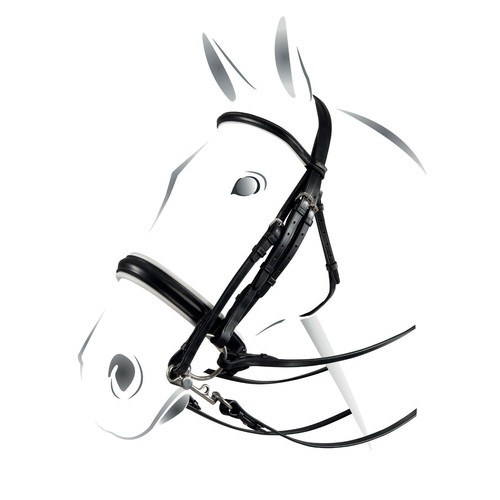 Bridle équestre dressage - bridle,