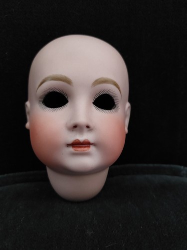 Superbe reproduction tête - , de