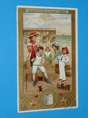 Chromo 1907 liebig serie - chromo, 913